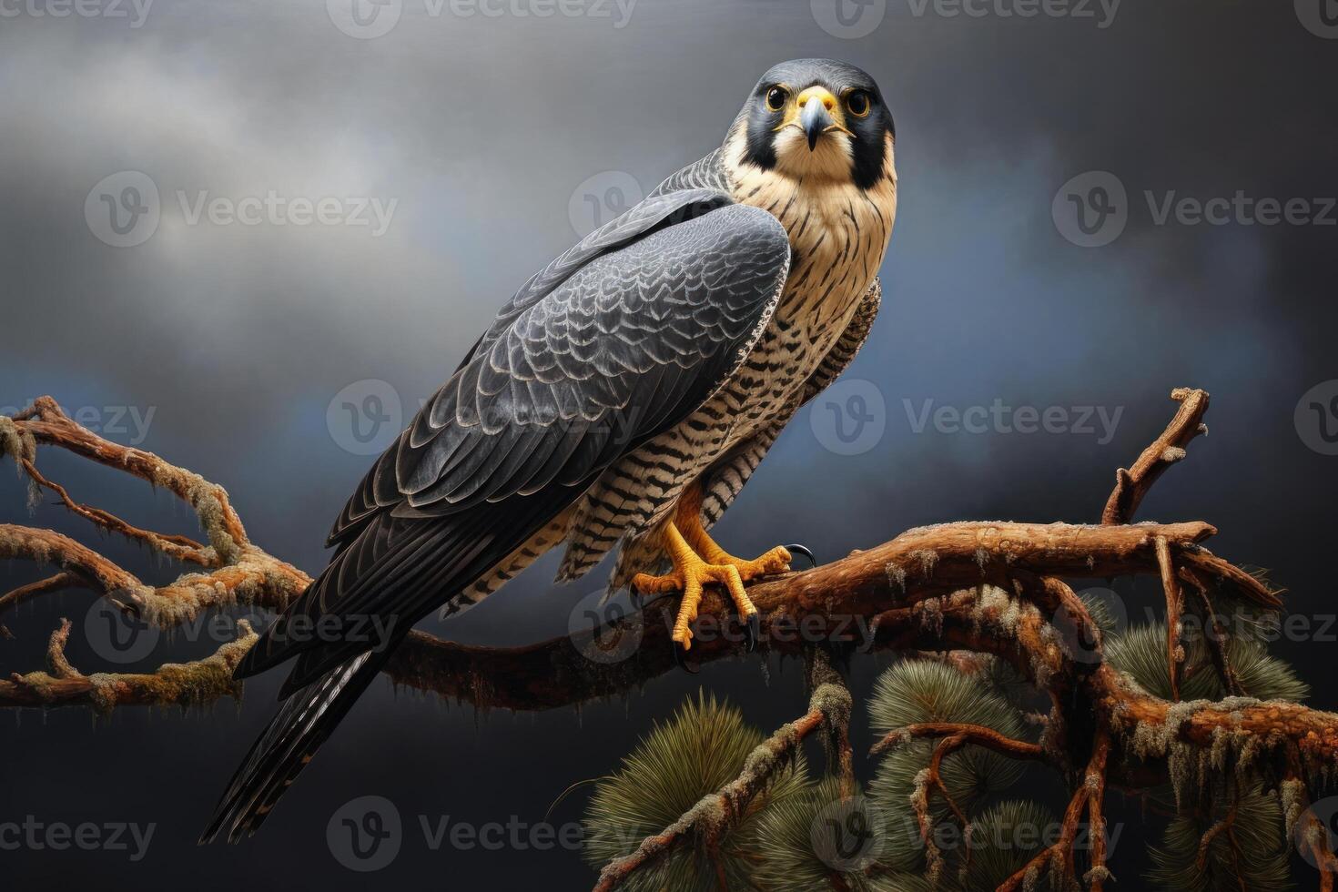 ai gerado empoleirado peregrino falcão sentado em árvore ramo. gerar ai foto