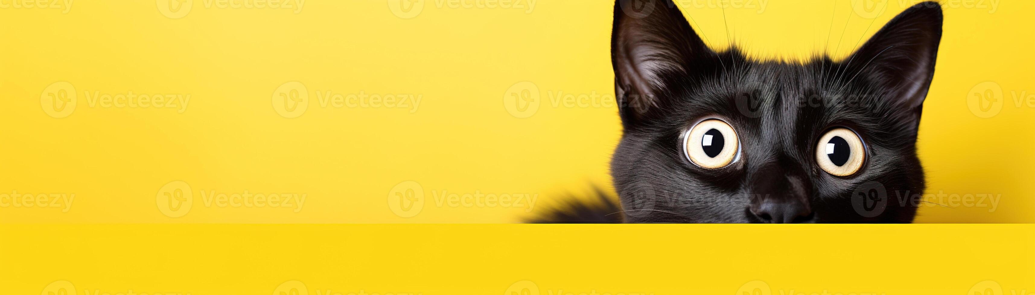 ai gerado cativante Preto gato contra negrito amarelo fundo, perfeito para atraente anúncios, especial promoções, ou criativo projetos. cópia de espaço para texto. panorâmico bandeira. foto