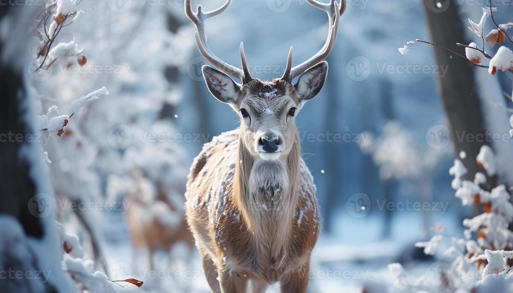 ai gerado uma fofa veado dentro a inverno floresta, olhando às Câmera gerado de ai foto