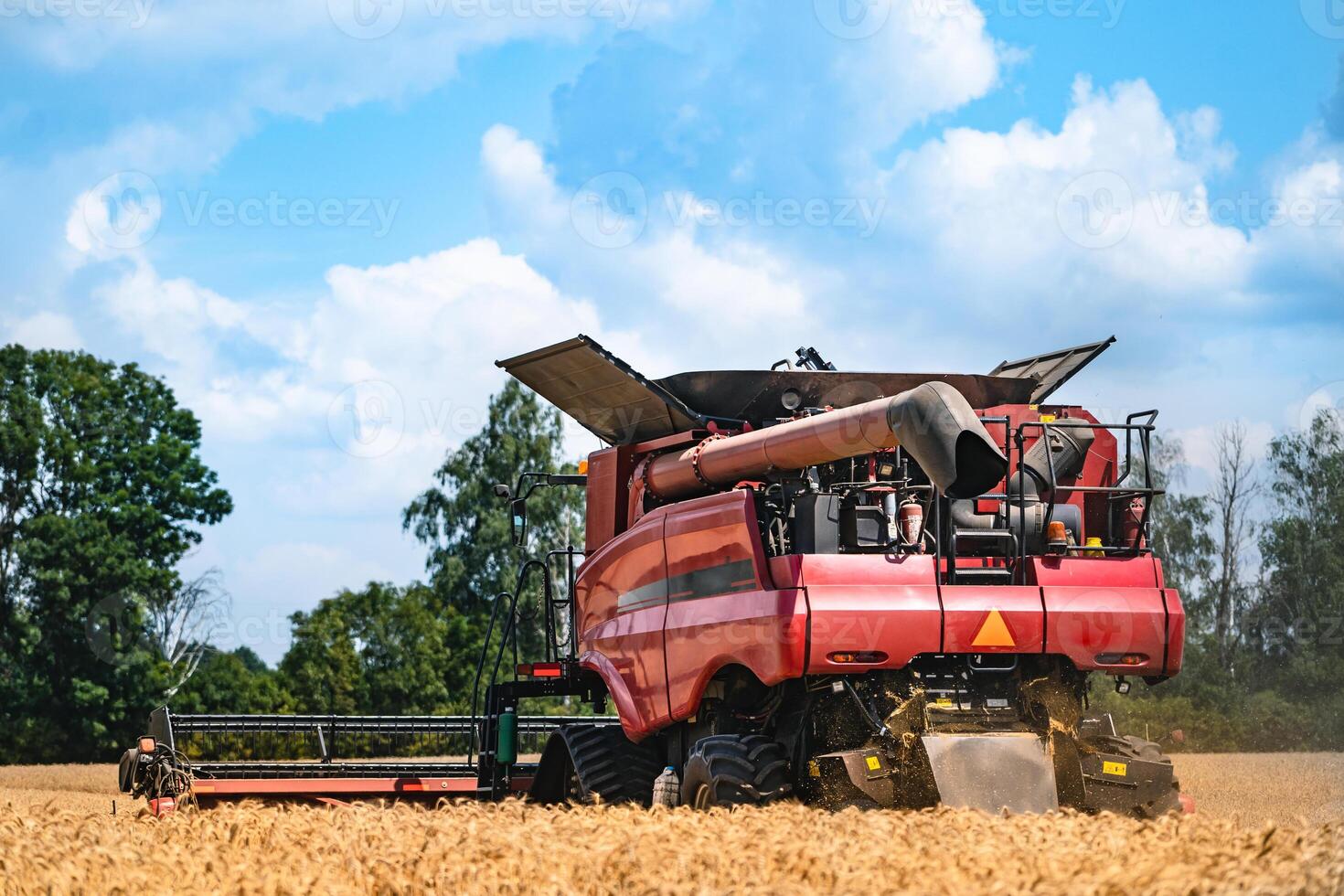 combinar colheitadeira dentro açao em trigo campo. colheita maduro colheita a partir de a Campos. foto