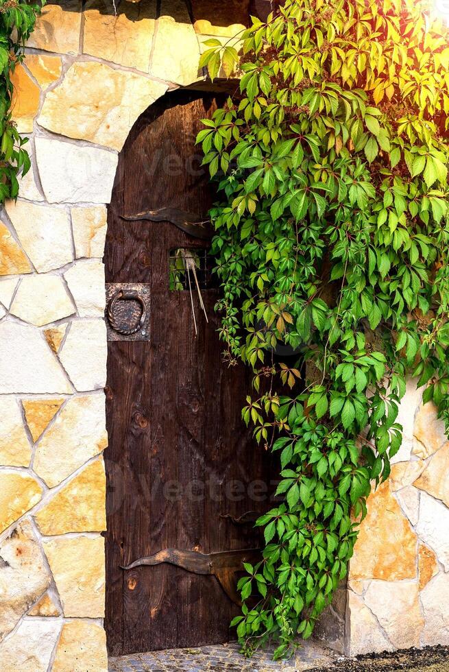 lindo de madeira porta dentro uma pedra parede cheio com plantas. porta e uma parede coberto com hera foto