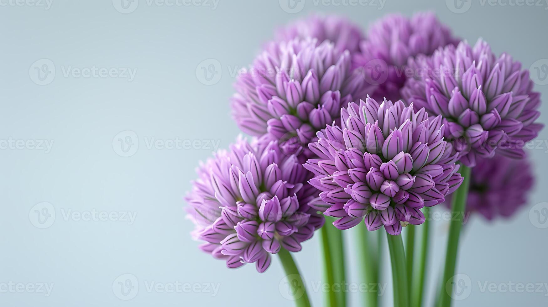 ai gerado cebolinha flor em uma branco fundo foto