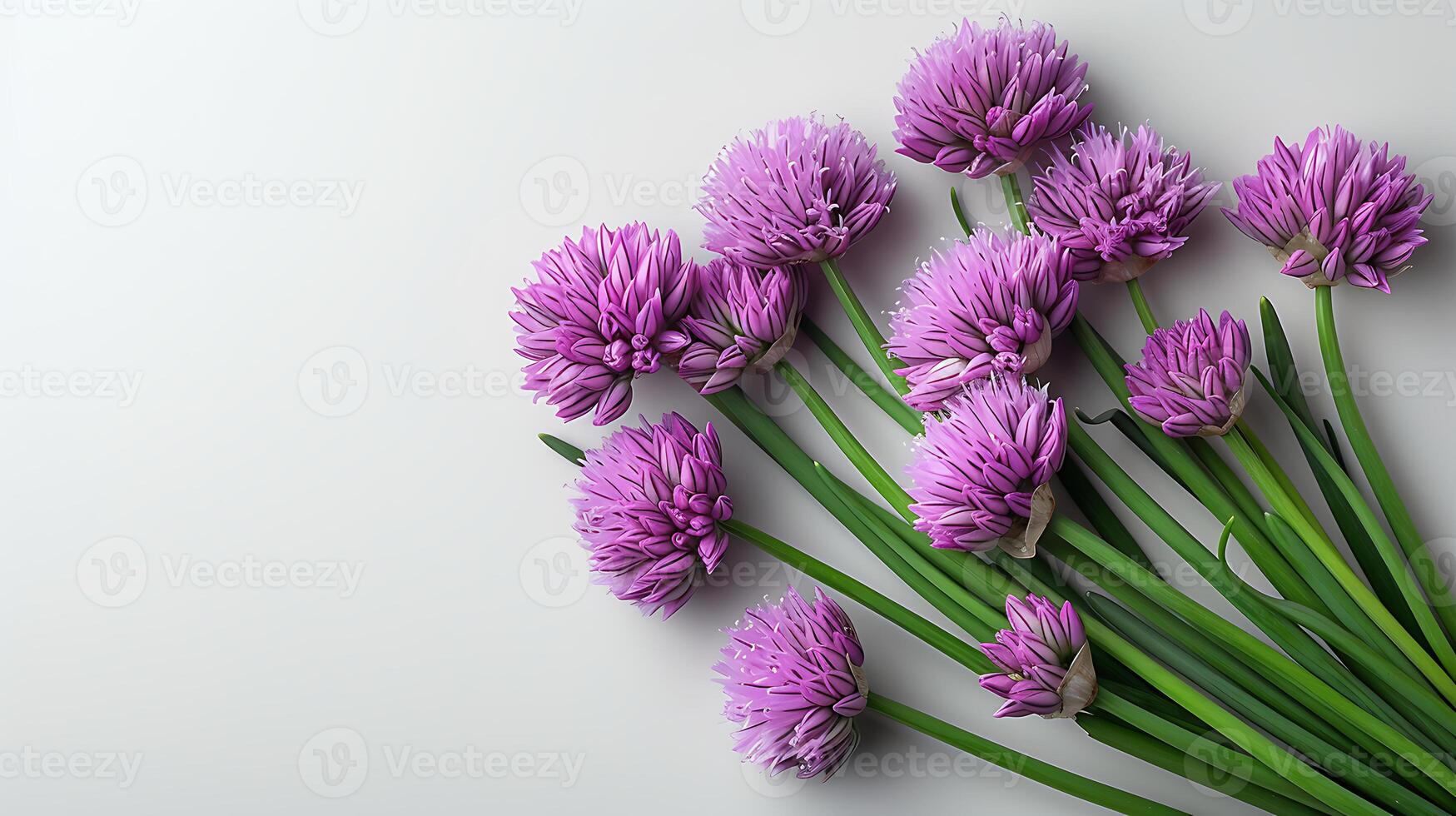 ai gerado cebolinha flor em uma branco fundo foto