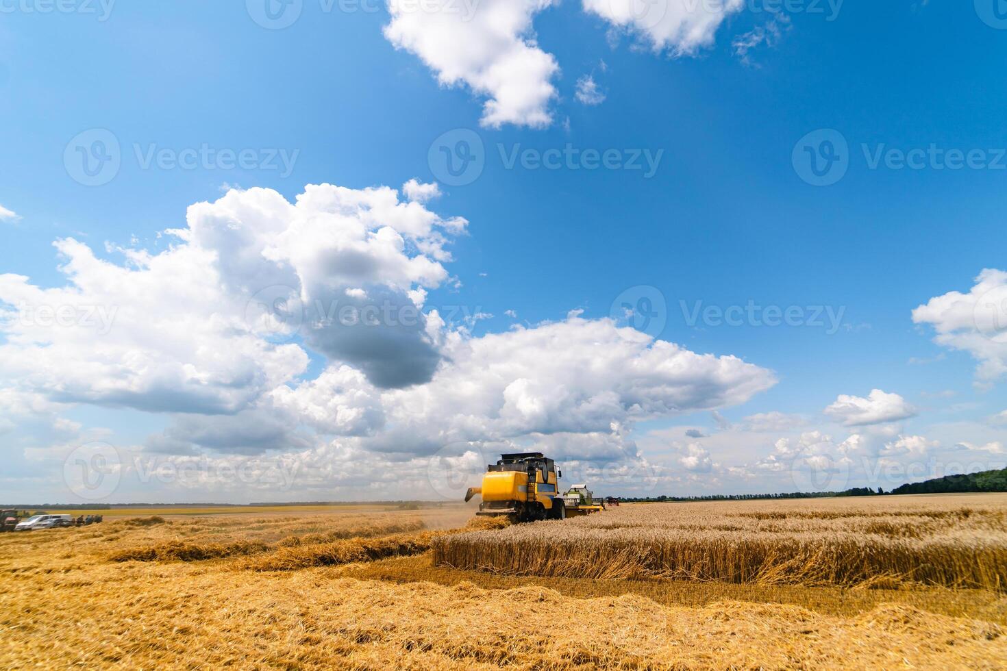 uma amarelo moderno combinar colheitadeira trabalhando dentro uma trigo campo foto