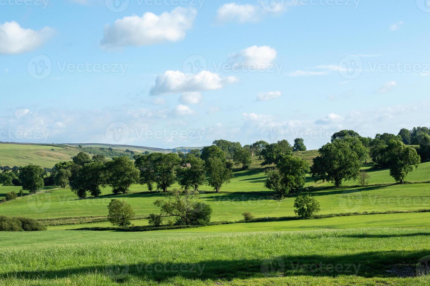 panorama foto do a colinas e Claro céu dentro yorkshire dales