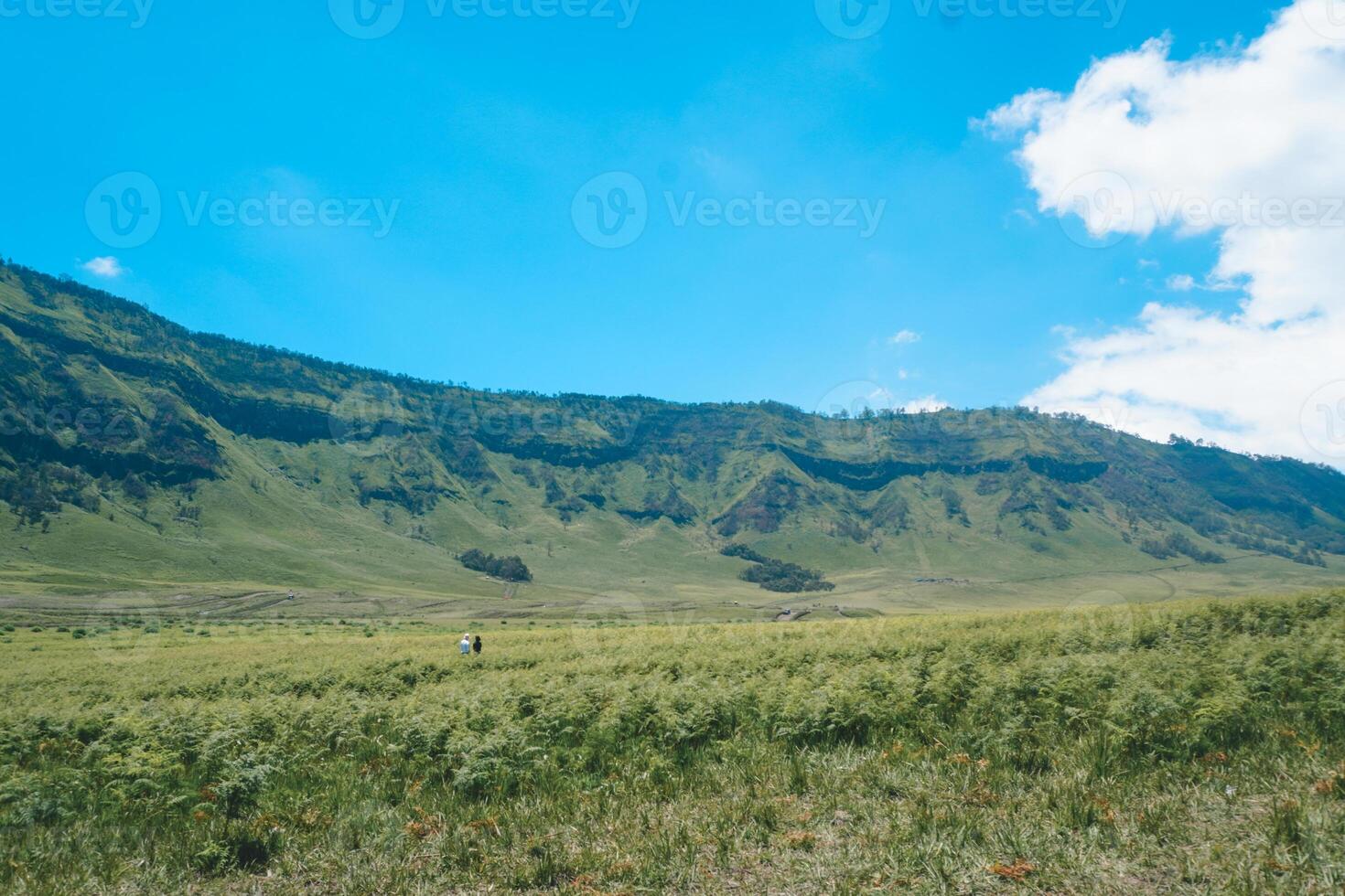 panorama Visão do bromo depois de incêndios, aéreo Visão a partir de bromo uma Maravilhoso cenário dentro dramático Colina foto