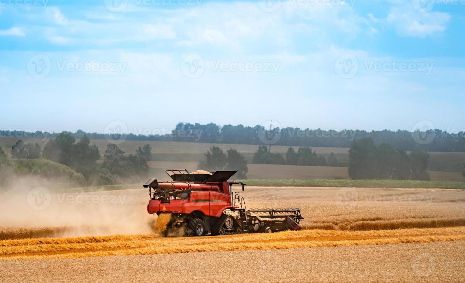 colheitadeira máquina trabalhando dentro campo . combinar colheitadeira agricultura máquina colheita dourado maduro trigo campo. agricultura. lado visualizar. foto