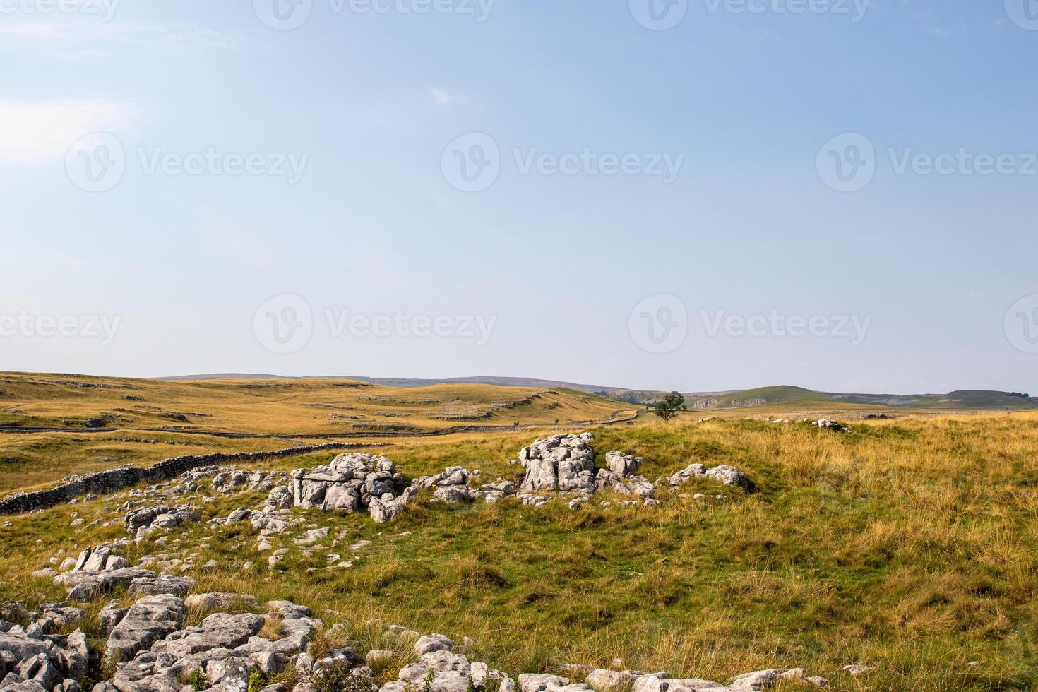 ensolarado panorama do rolando colinas com seco pedra paredes e escasso vegetação debaixo uma Claro azul céu. foto