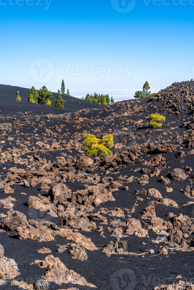 a Preto areias do a chinyero vulcão dentro tenerife foto