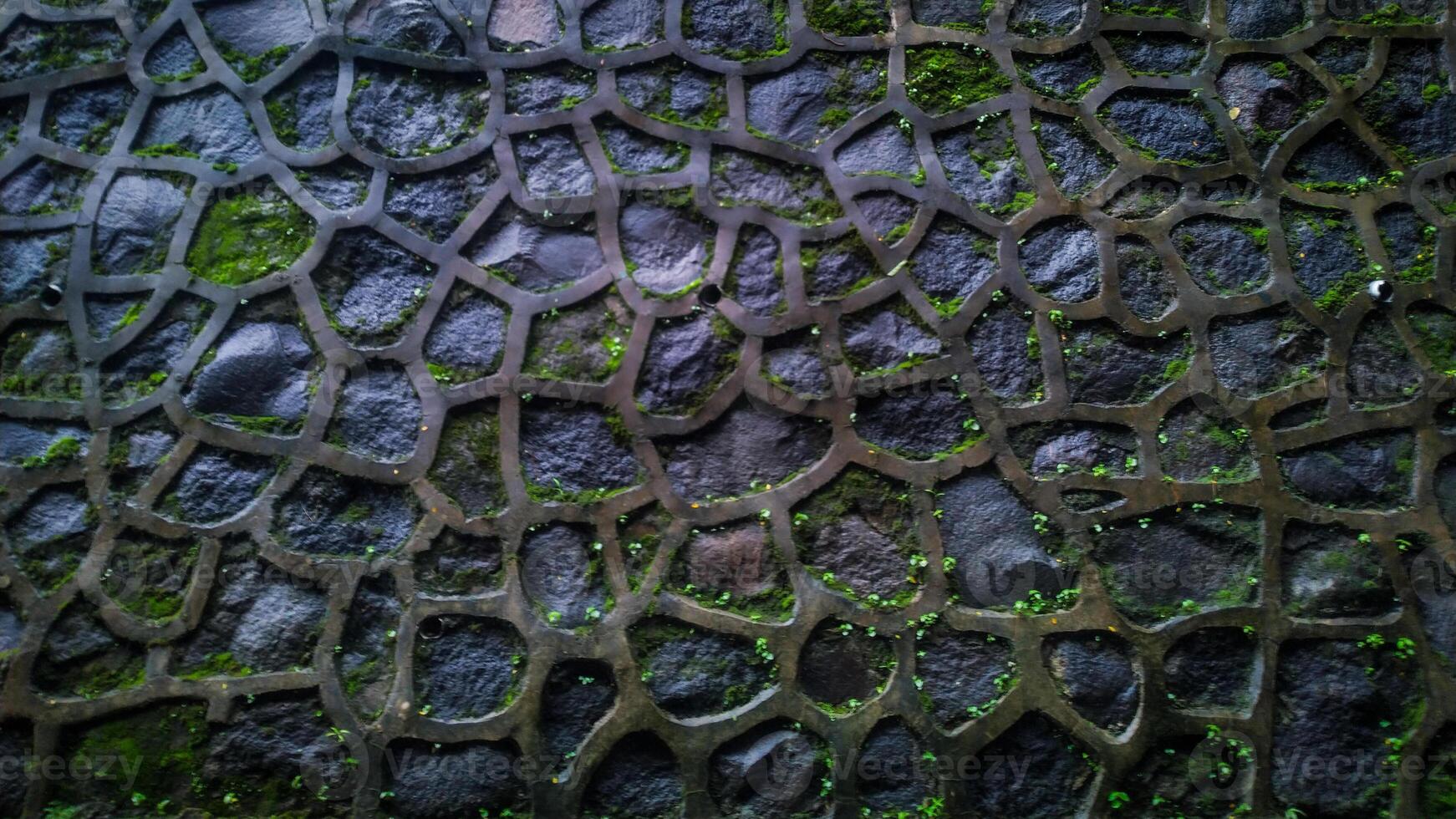 textura do uma pedra muro. molhado pedra parede com musgo crescendo em pedra foto