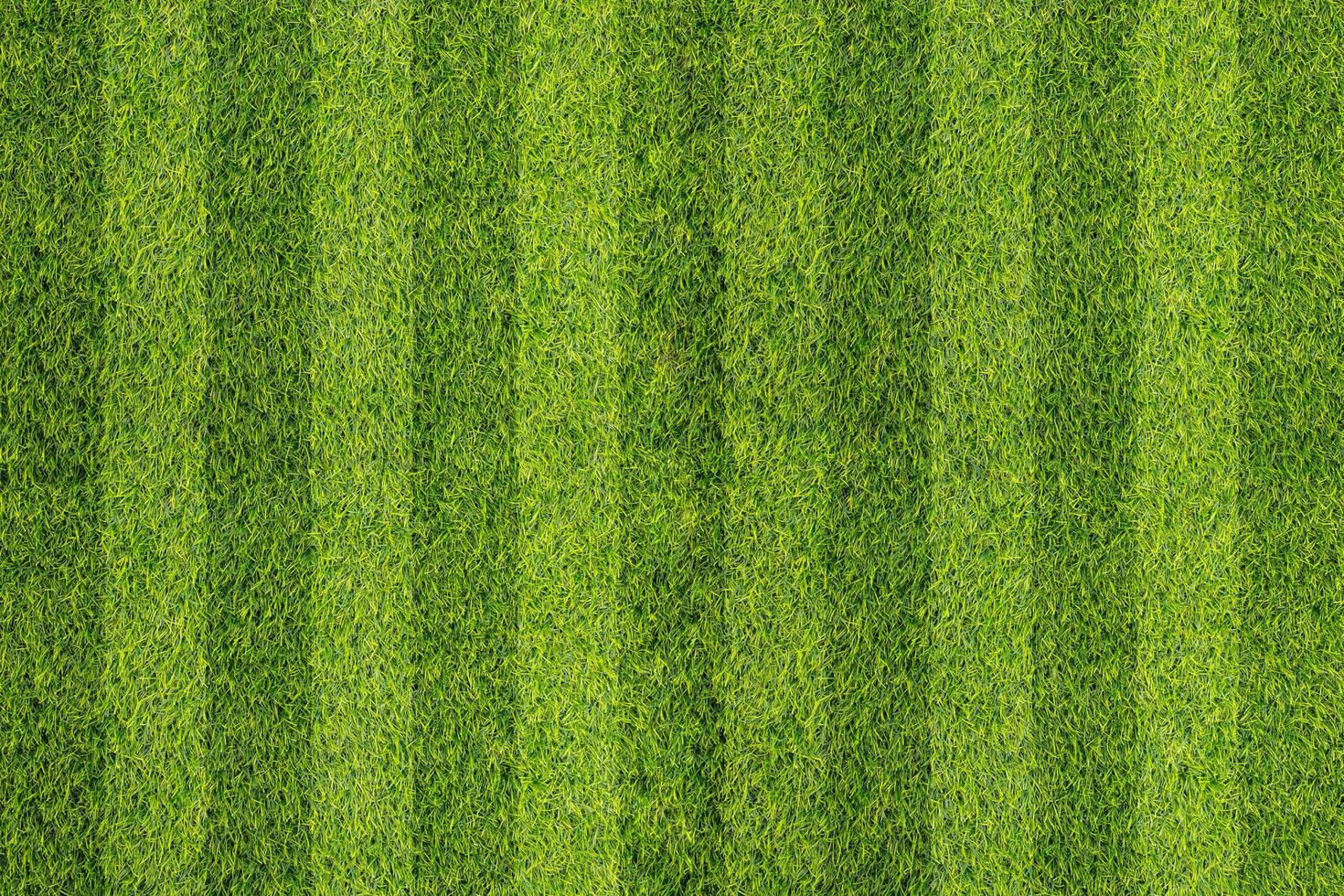 campo de futebol de grama de faixa. gramado verde foto