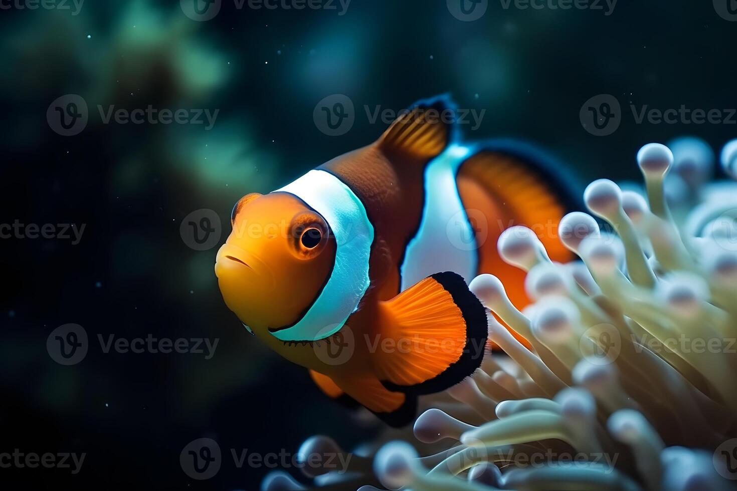 ai gerado Peixe-palhaço marinho vida anêmona recife. neural rede ai gerado foto