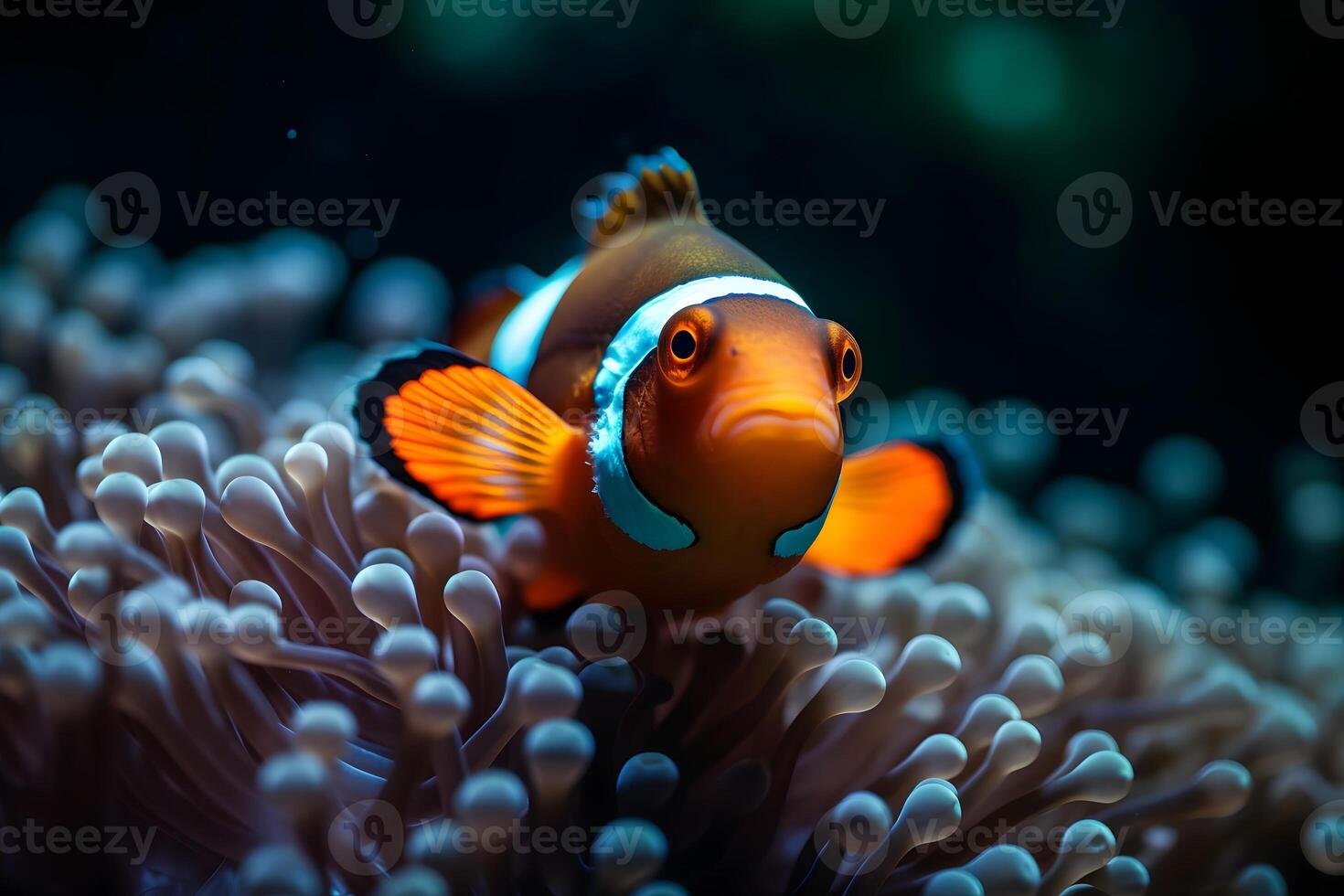 ai gerado Peixe-palhaço marinho vida anêmona recife. neural rede ai gerado foto