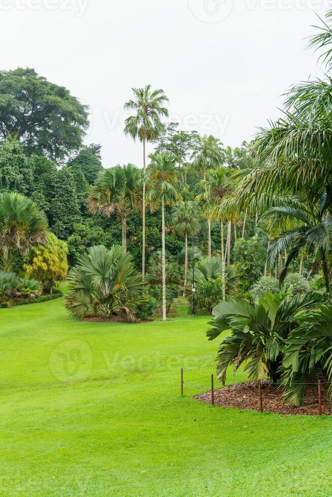 Cingapura jardins dentro Ásia foto