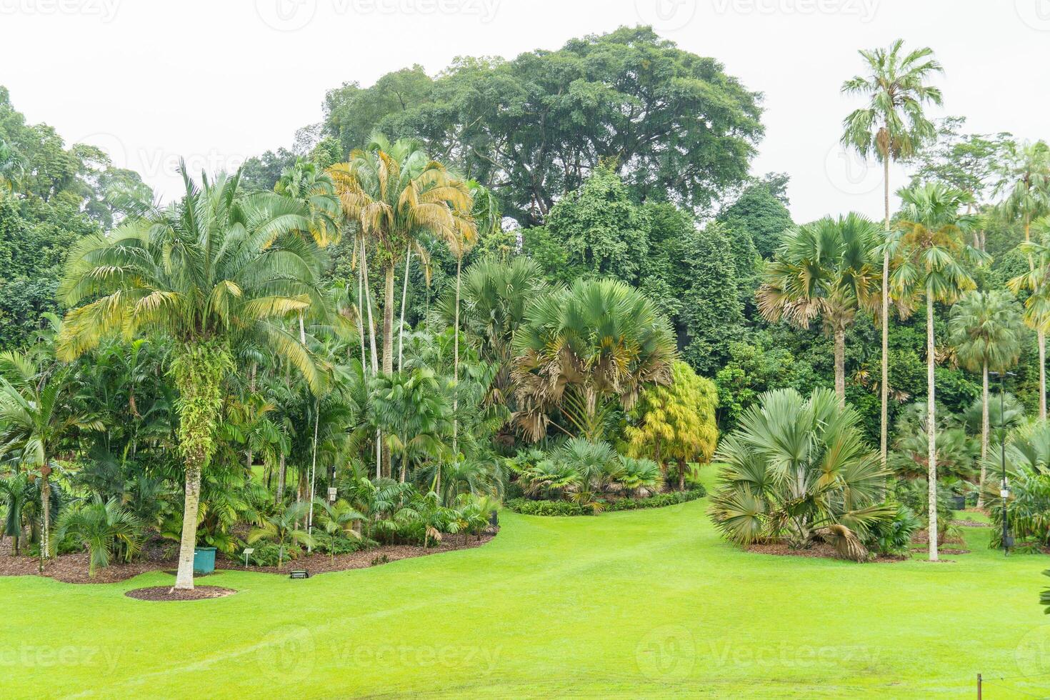 Cingapura jardins dentro Ásia foto