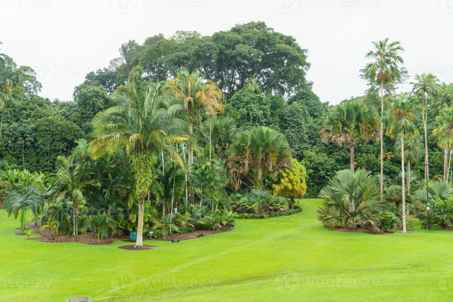 Cingapura jardins dentro Ásia foto