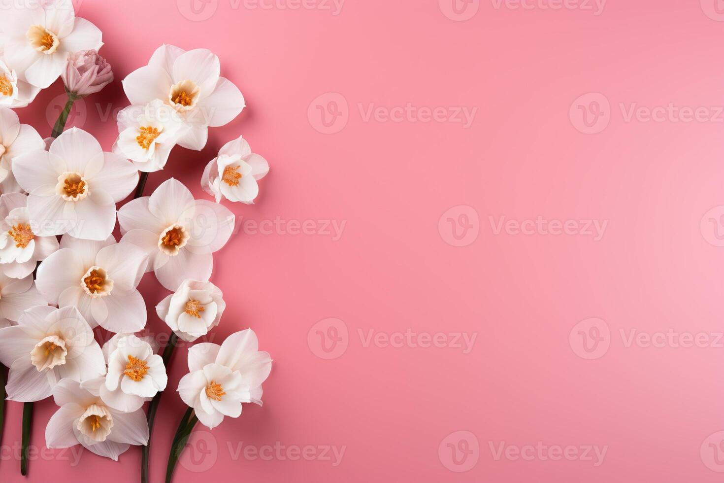 ai gerado branco flores narcisos quadro, Armação em Rosa fundo topo visualizar, lindo floral modelo com cópia de espaço foto