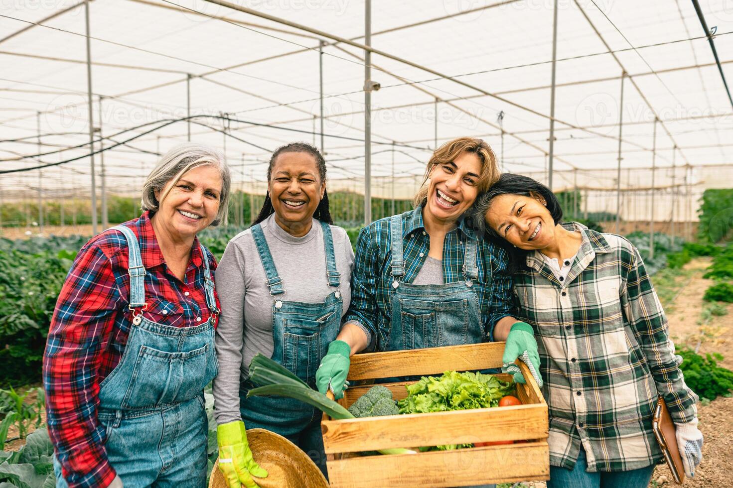 feliz multirracial mulheres agricultores trabalhando dentro estufa - Fazenda pessoas cooperativo conceito foto