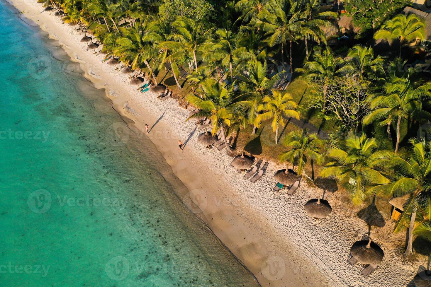 em a lindo de praia do a ilha do Maurícia ao longo a costa. tiroteio a partir de uma pássaro olho Visão do a ilha do maurício. foto