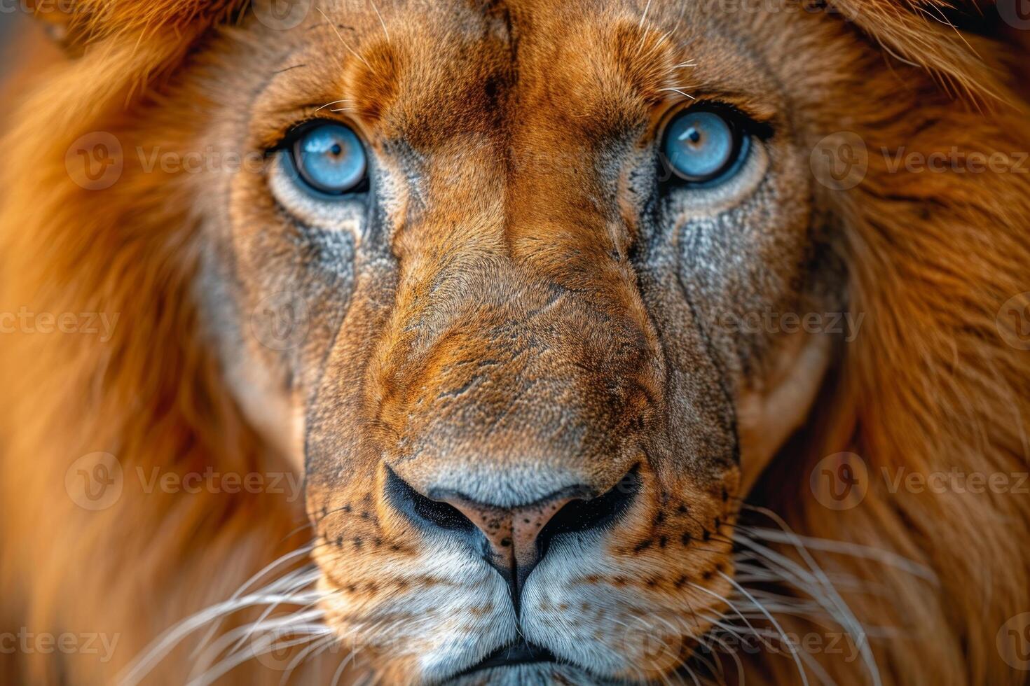 ai gerado retrato do uma leão focinho dentro fechar-se. a leão cabeça foto