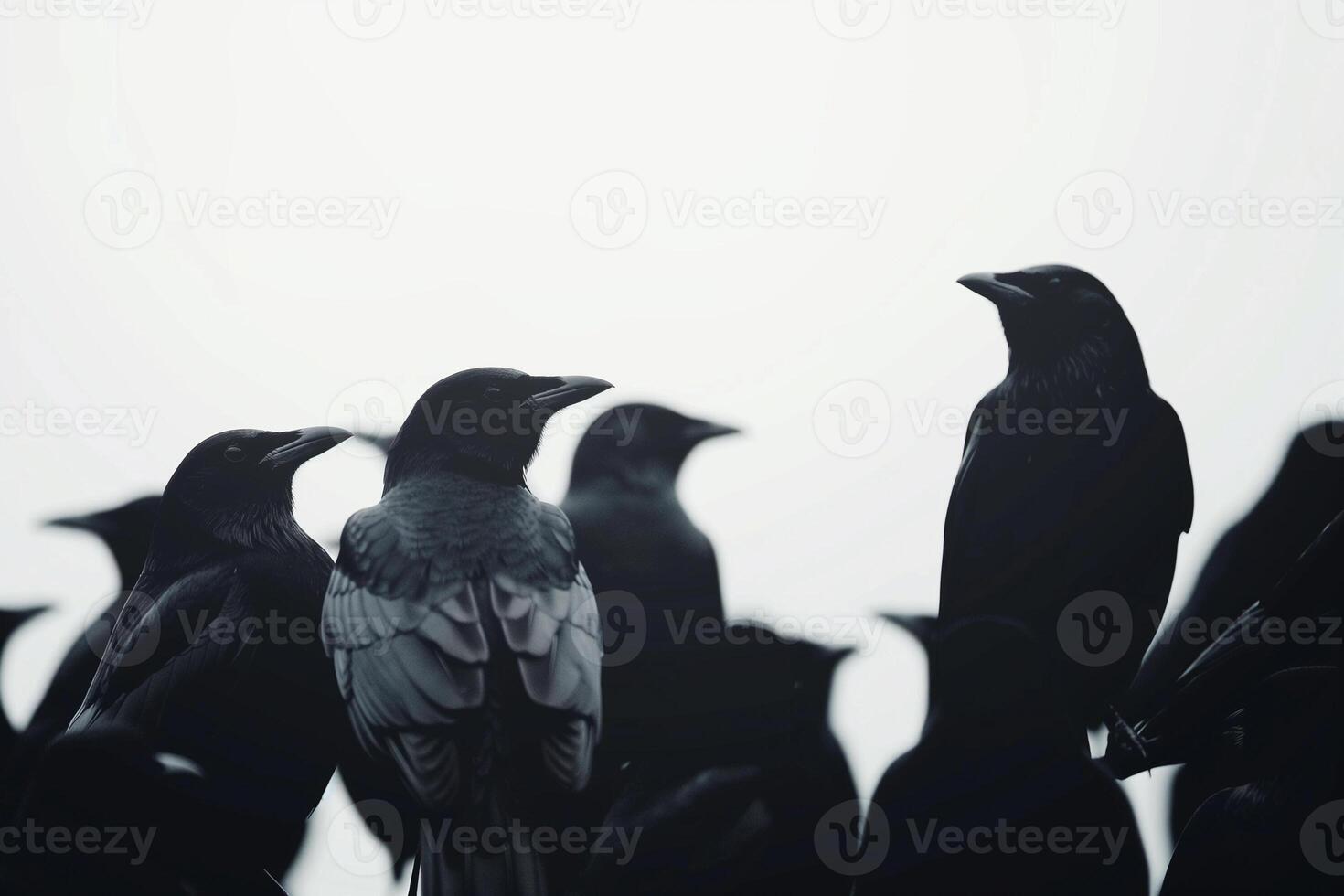 ai gerado silhueta corvos em branco, ameaçador dia das Bruxas foto