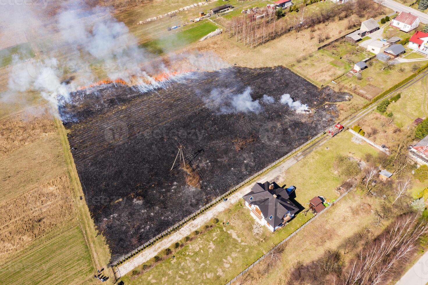 floresta e estepe incêndios seco completamente destruir a Campos e estepes durante uma forte seca. desastre traz regular danificar para natureza e economia do região. foto