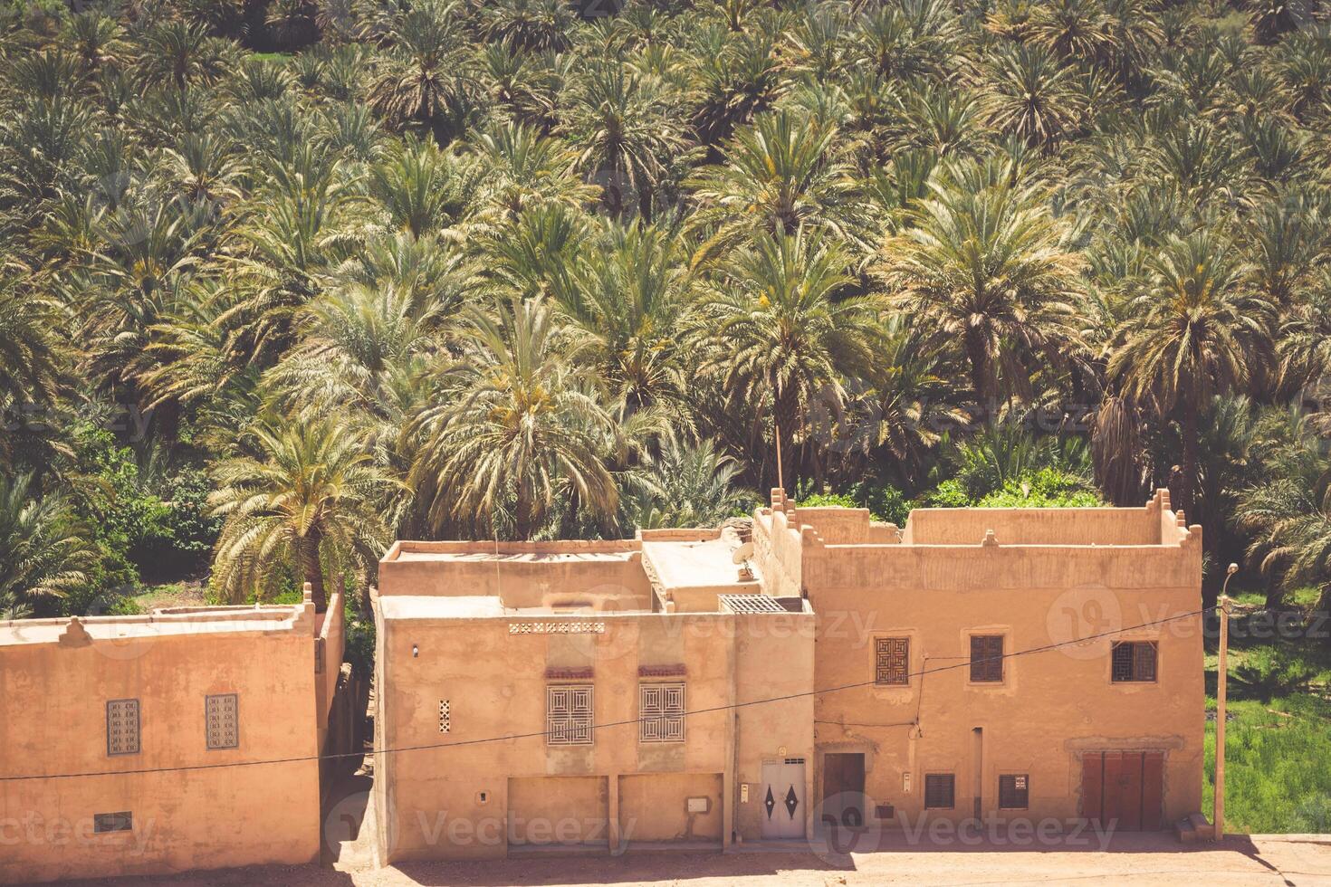 uma Vila às a oásis às a inferior do uma desfiladeiro dentro a Atlas montanhas, Marrocos foto