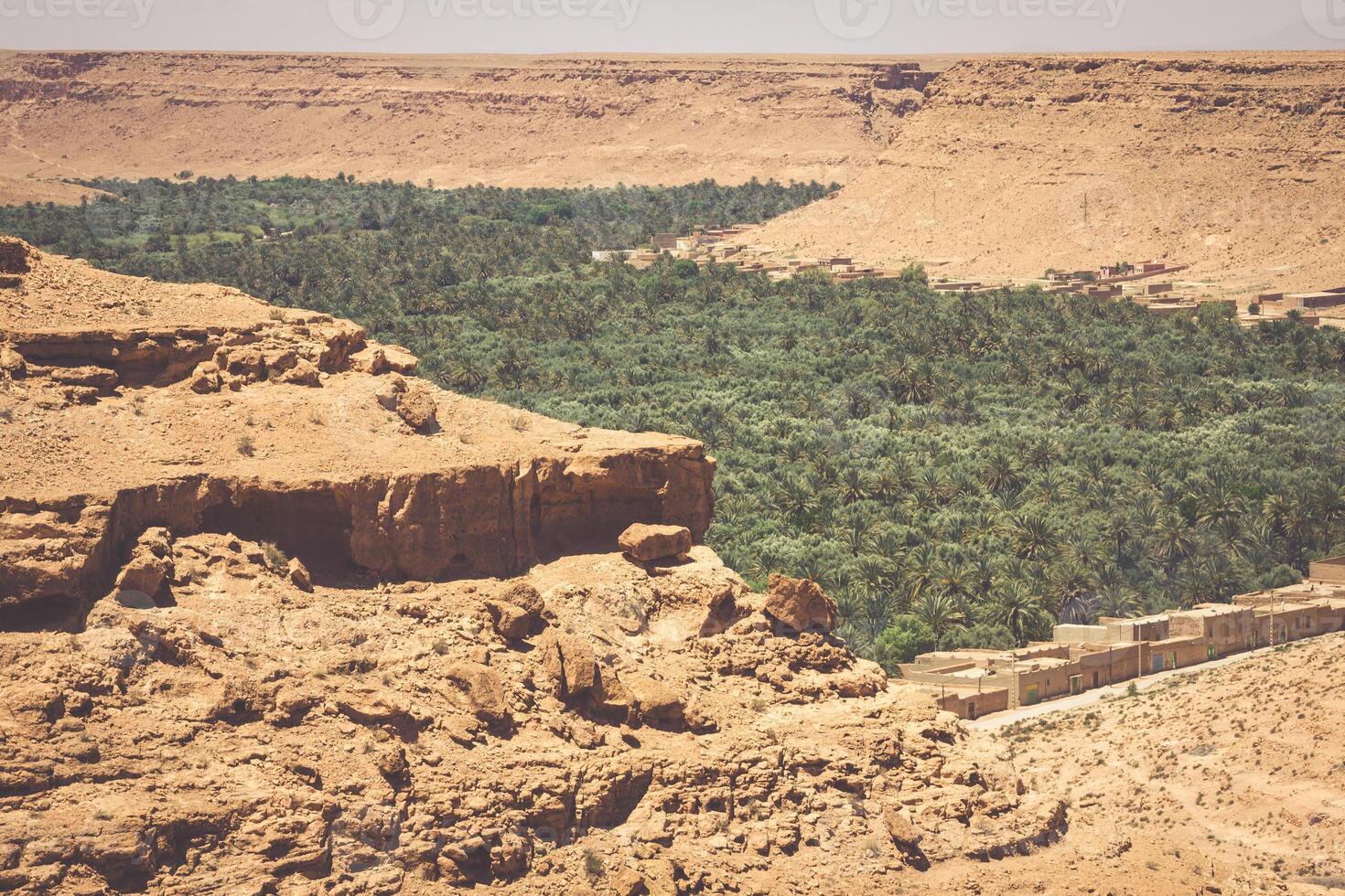 cultivado Campos e Palmeiras dentro errachidia Marrocos norte África África foto