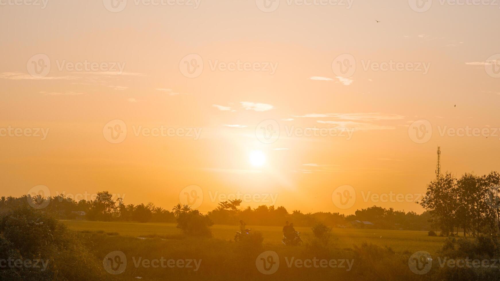 a atmosfera do a pôr do sol dentro rural arroz Campos é calma e relaxante foto
