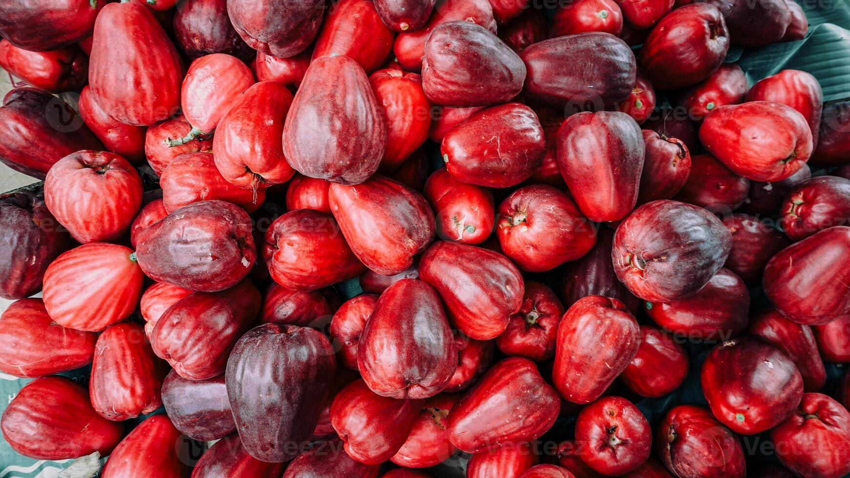 fresco vermelho jamaicano goiaba fruta este tem somente fui colhido foto