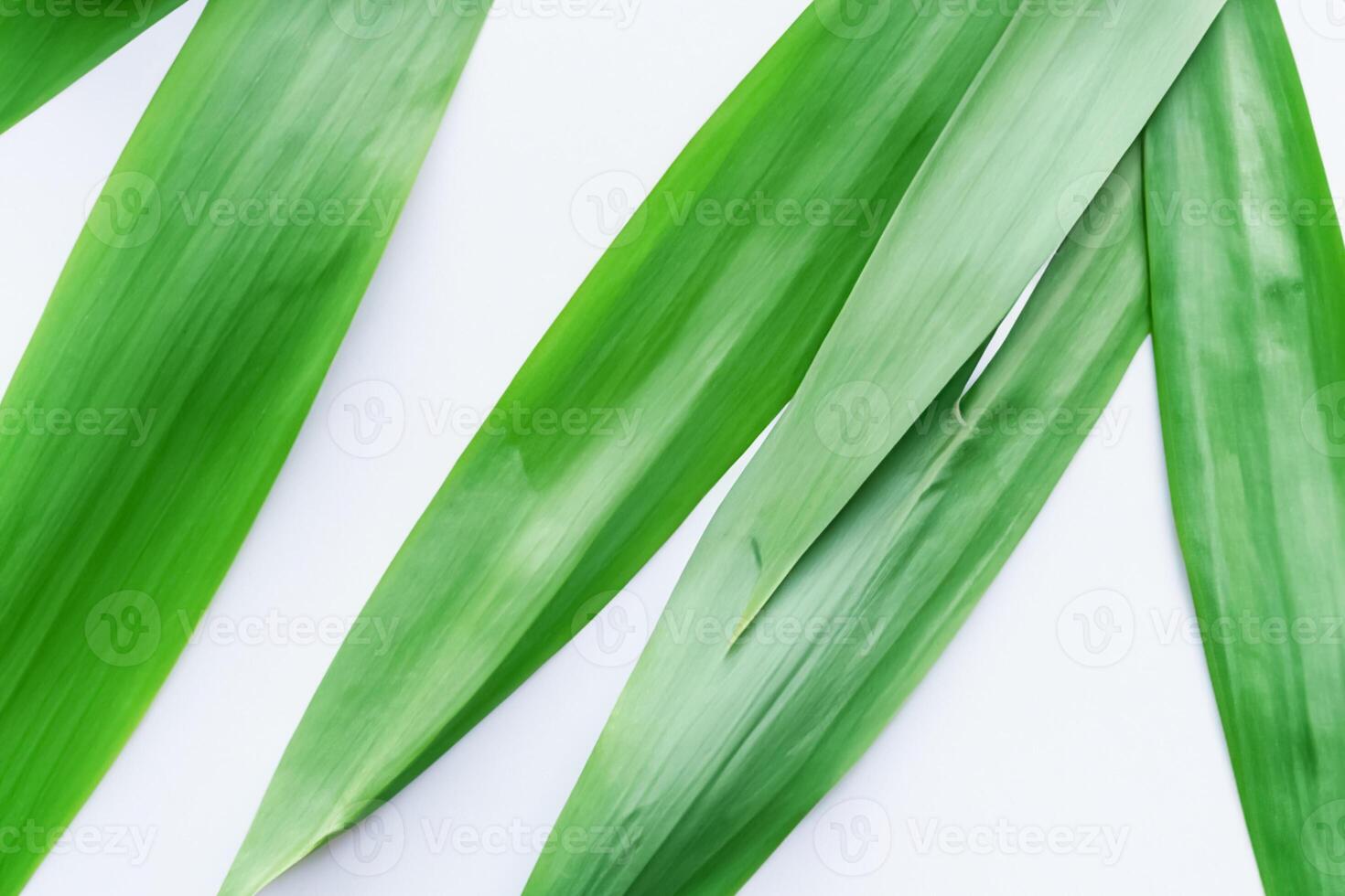 uma culinária odisséia com a lindo Pandan folha, infundindo delicado aromas e vibrante verde matizes para dentro requintado pratos, elevando sabor perfis com da natureza fresco elegância foto