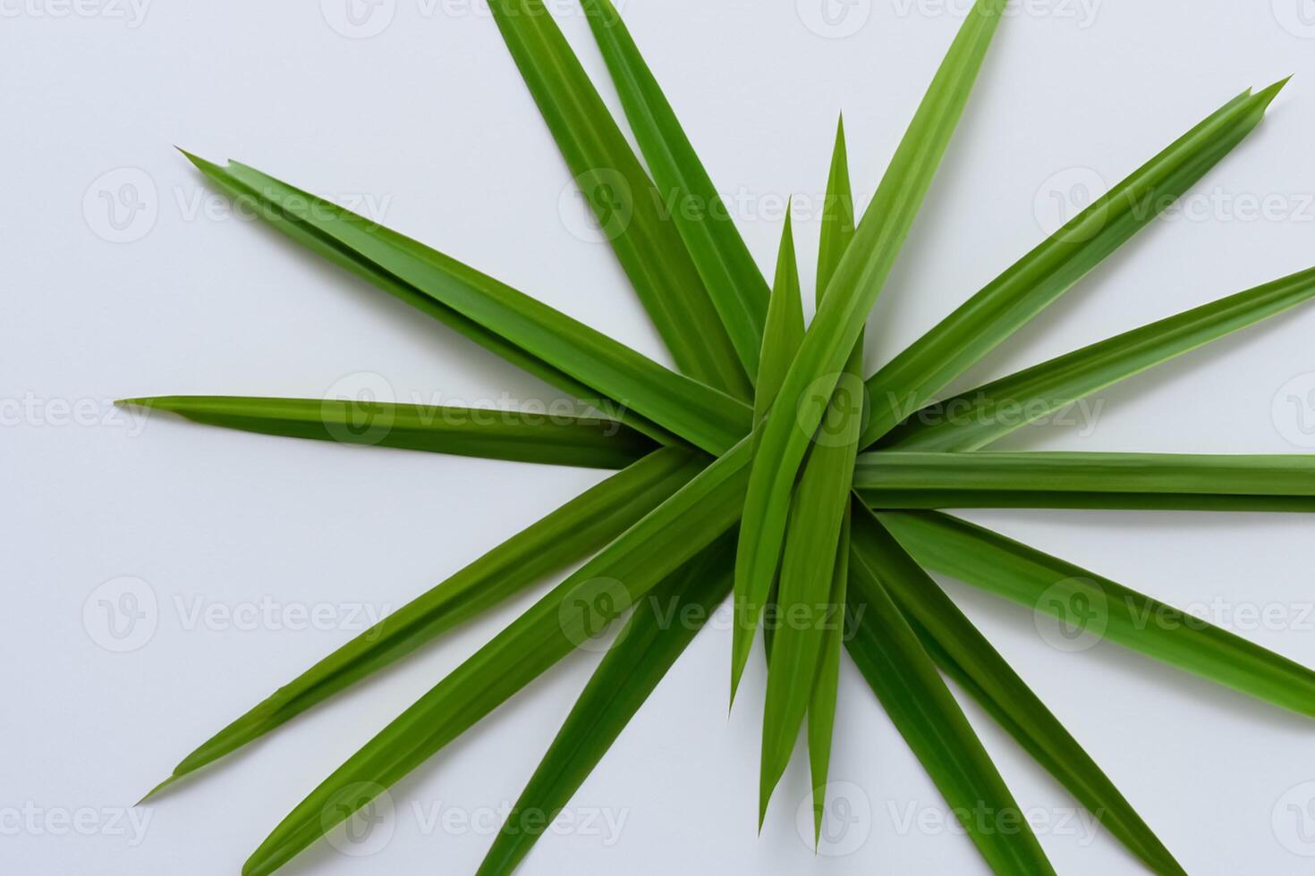 uma culinária odisséia com a lindo Pandan folha, infundindo delicado aromas e vibrante verde matizes para dentro requintado pratos, elevando sabor perfis com da natureza fresco elegância foto