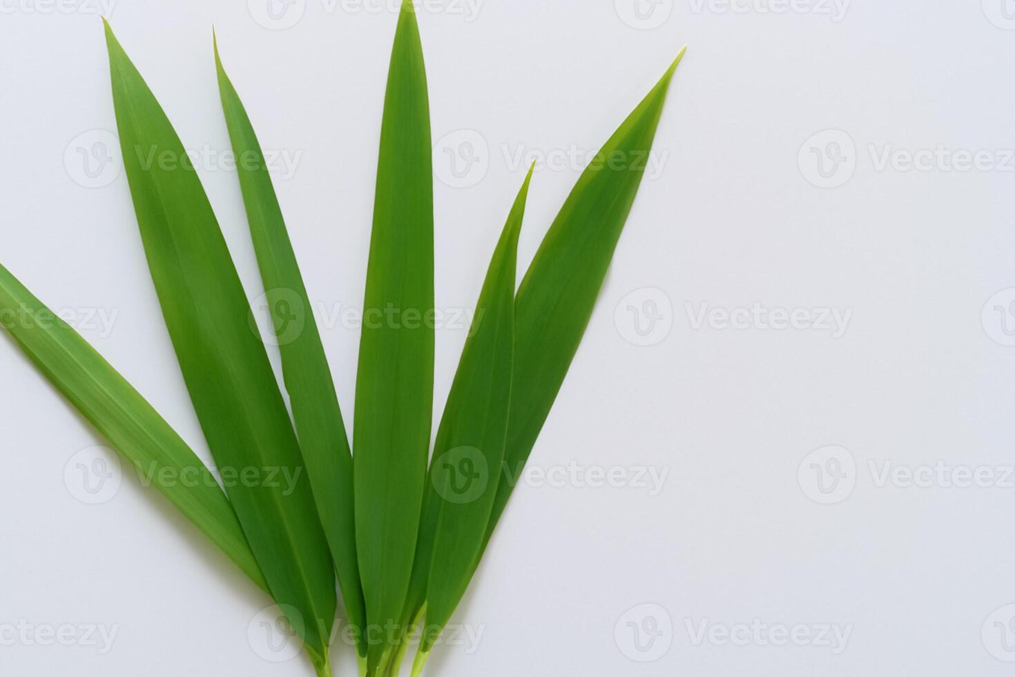 uma culinária odisséia com a lindo Pandan folha, infundindo delicado aromas e vibrante verde matizes para dentro requintado pratos, elevando sabor perfis com da natureza fresco elegância foto