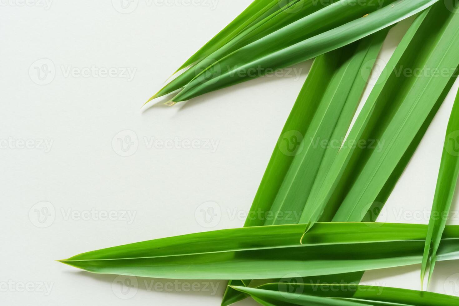 uma culinária odisséia com a lindo Pandan folha, infundindo delicado aromas e vibrante verde matizes para dentro requintado pratos, elevando sabor perfis com da natureza fresco elegância foto