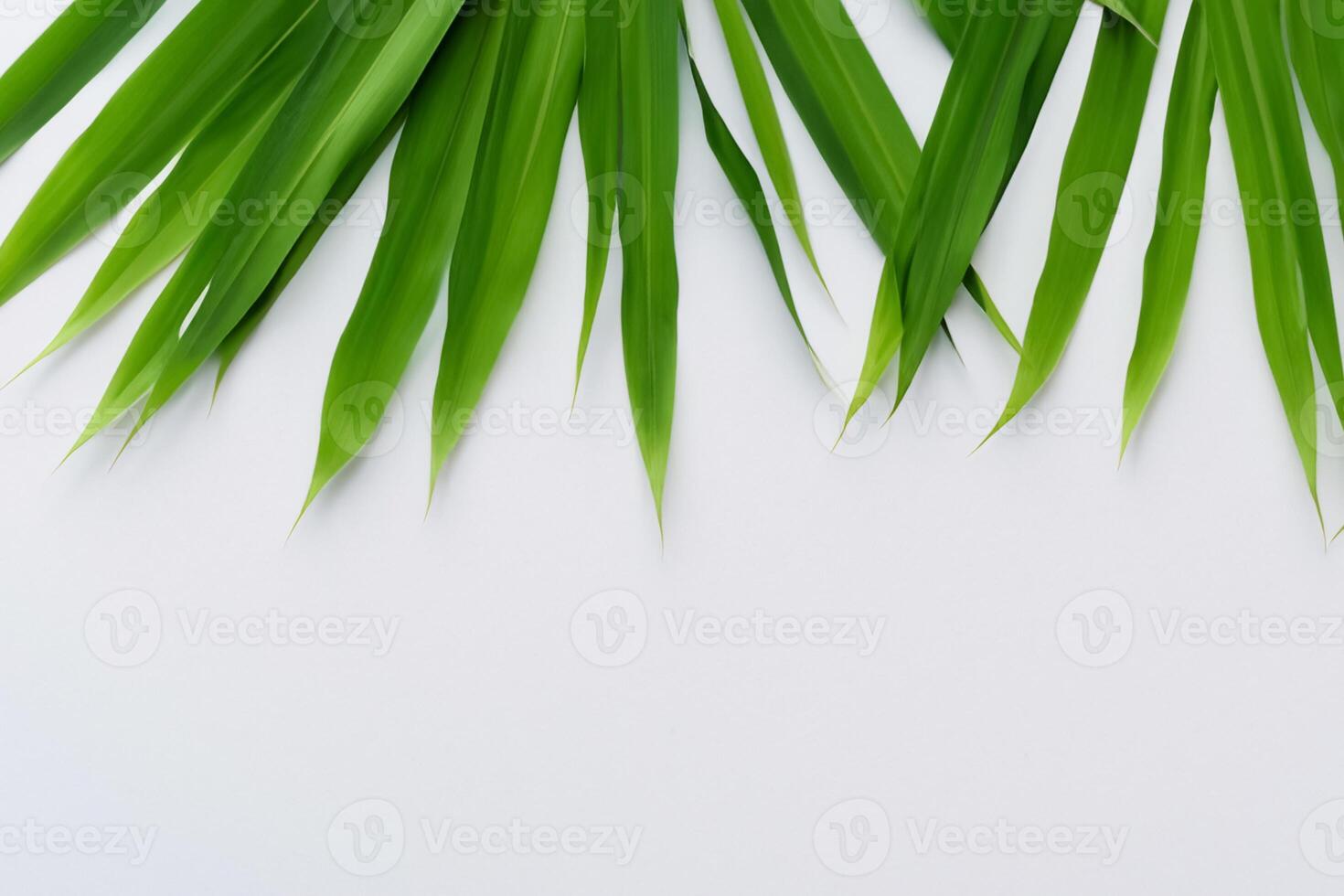 uma culinária odisséia com a lindo Pandan folha, infundindo delicado aromas e vibrante verde matizes para dentro requintado pratos, elevando sabor perfis com da natureza fresco elegância foto