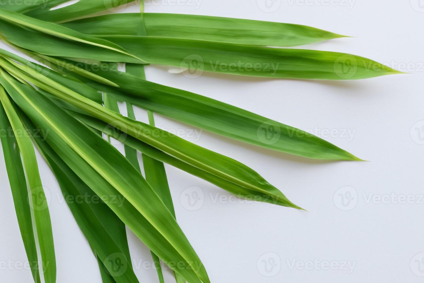 uma culinária odisséia com a lindo Pandan folha, infundindo delicado aromas e vibrante verde matizes para dentro requintado pratos, elevando sabor perfis com da natureza fresco elegância foto