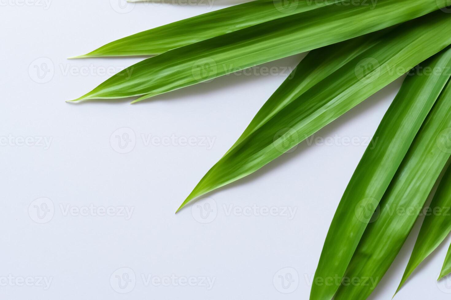 uma culinária odisséia com a lindo Pandan folha, infundindo delicado aromas e vibrante verde matizes para dentro requintado pratos, elevando sabor perfis com da natureza fresco elegância foto