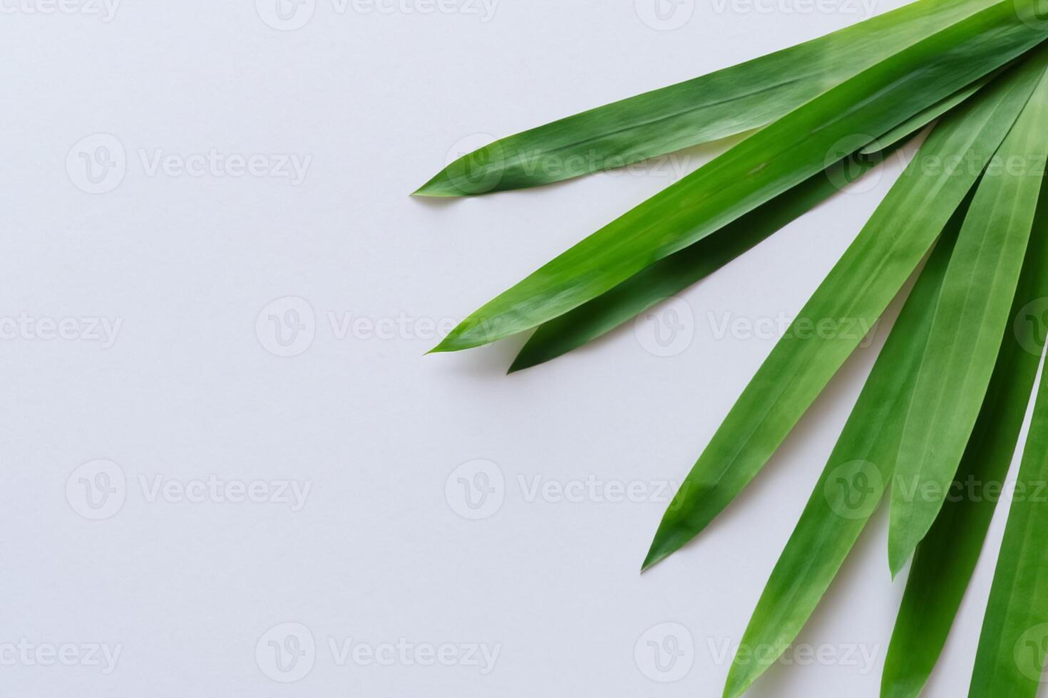 uma culinária odisséia com a lindo Pandan folha, infundindo delicado aromas e vibrante verde matizes para dentro requintado pratos, elevando sabor perfis com da natureza fresco elegância foto