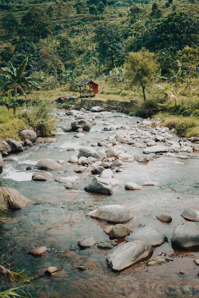 explorar sentul bogor espetacular cachoeiras e floresta trilhas. uma caminhada aventura com amigos dentro Gunung pancar. deslumbrante fotografia - Maravilhoso Indonésia foto