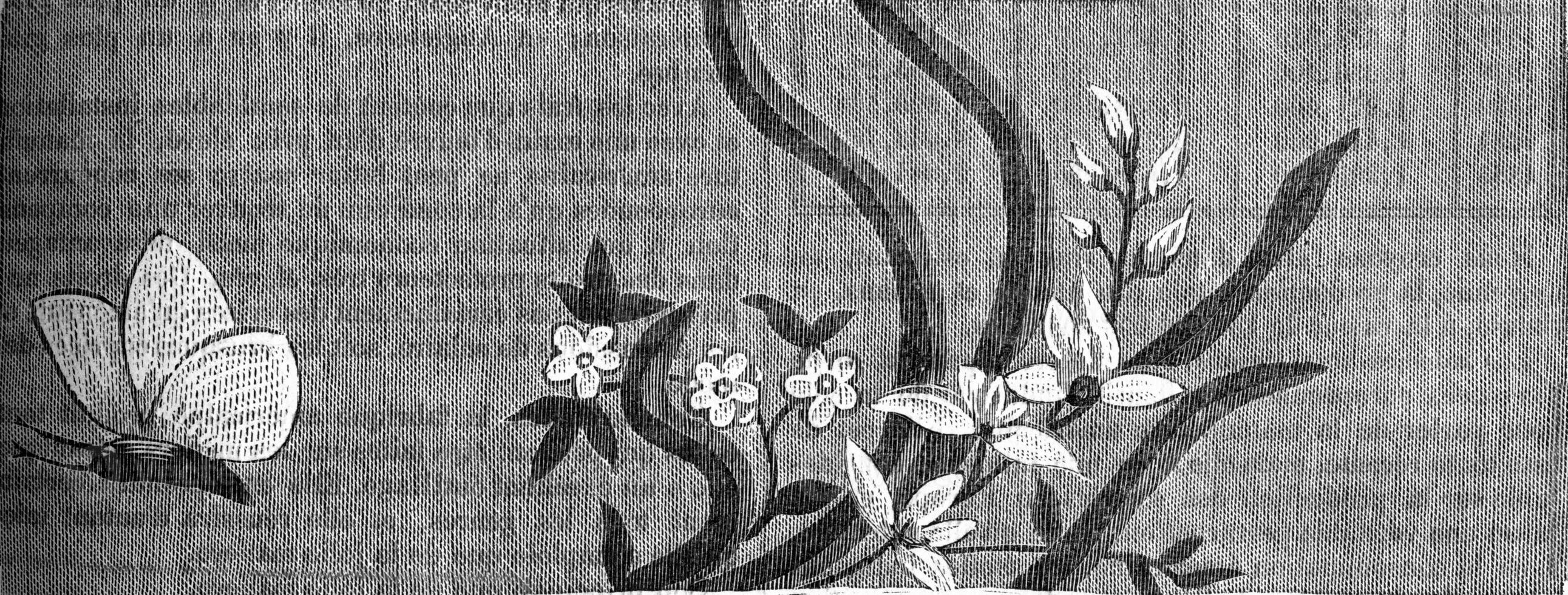 francês seda, segundo metade do a décimo oitavo século 1774-1793, vintage gravação. foto