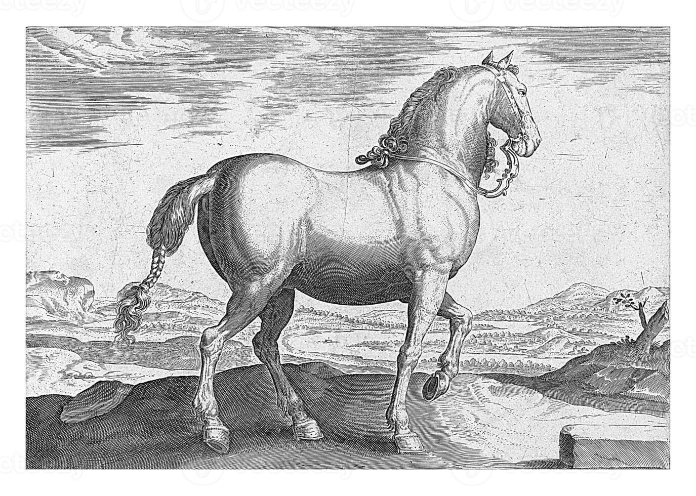 cavalo a partir de Flandres, vintage ilustração. foto