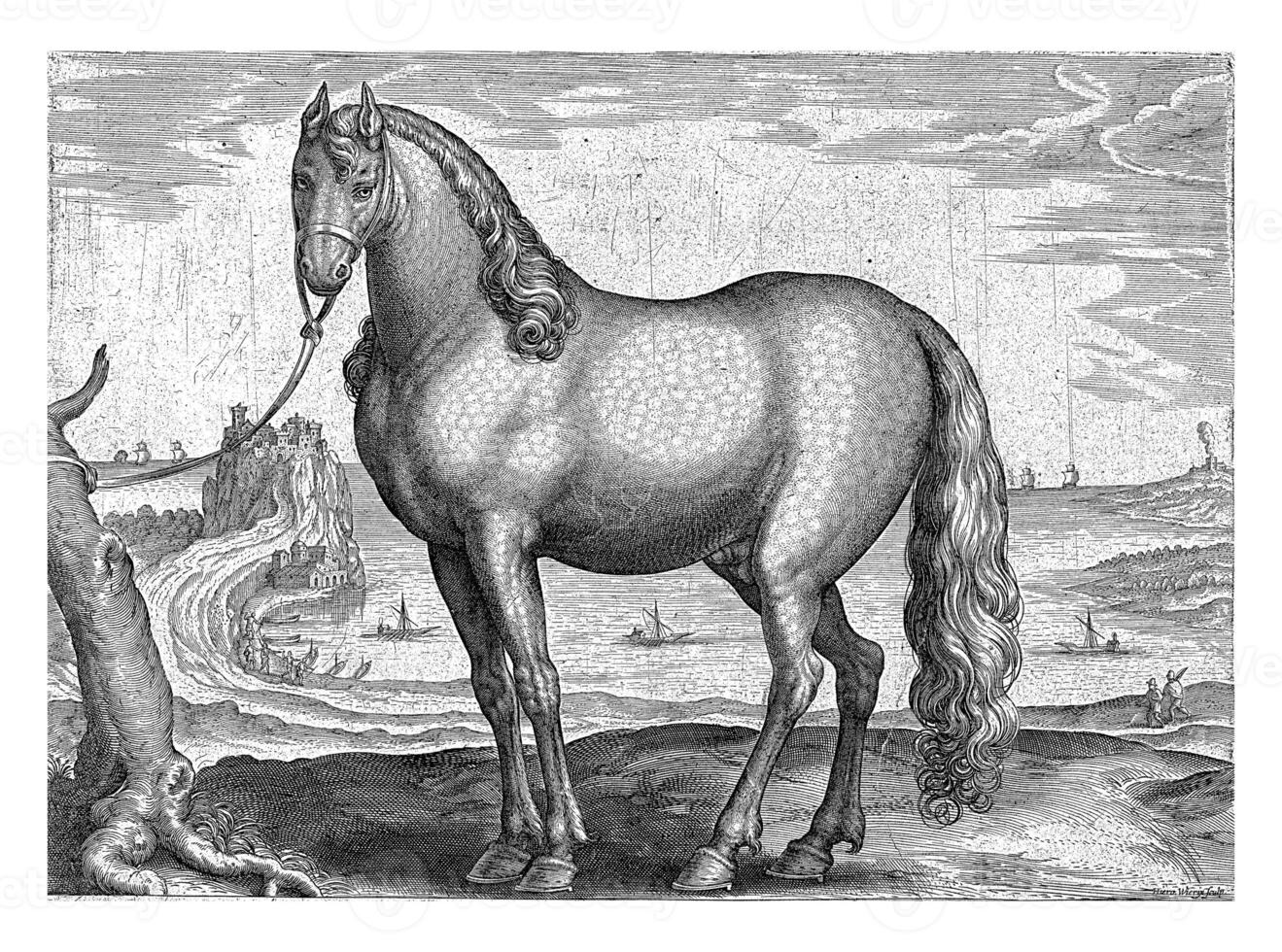 cavalo a partir de Bretanha foto