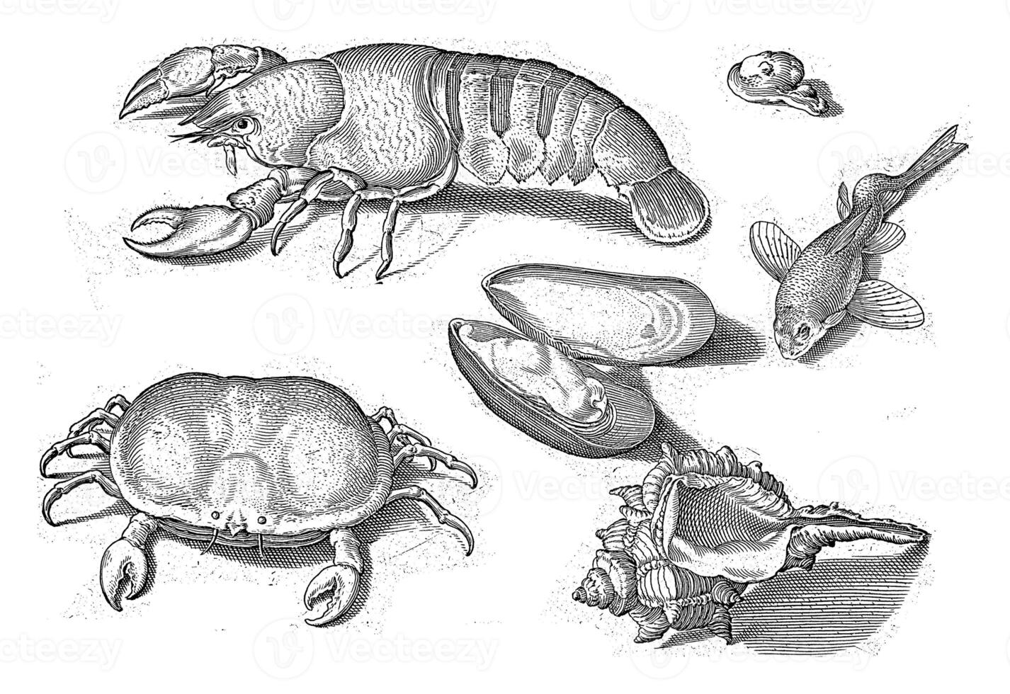 lagosta, caranguejo e cartuchos, Nicolaes de Bruyn, 1581 - 1656 foto