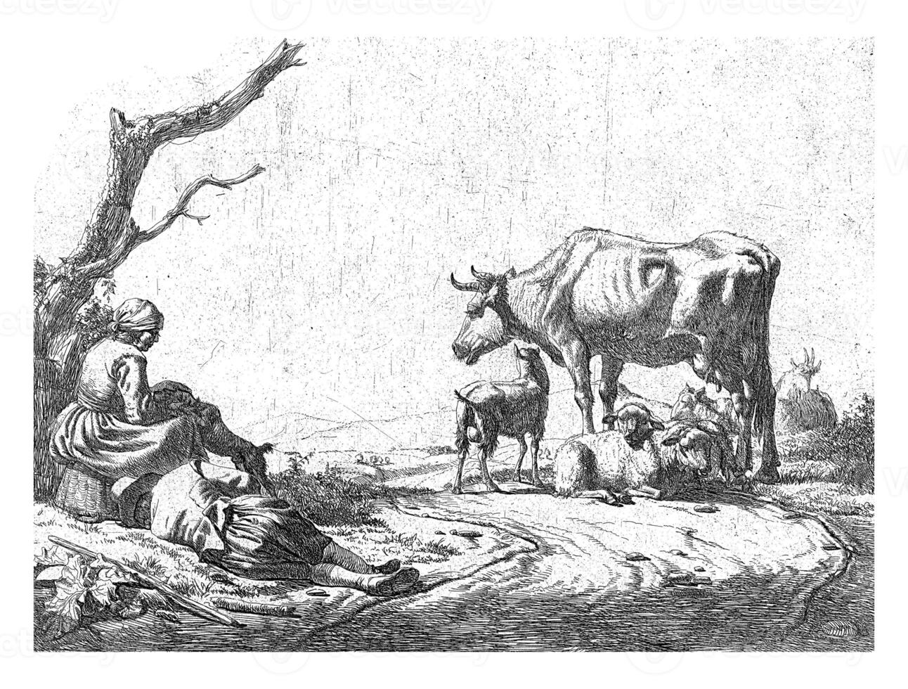pastor e pastora com gado foto