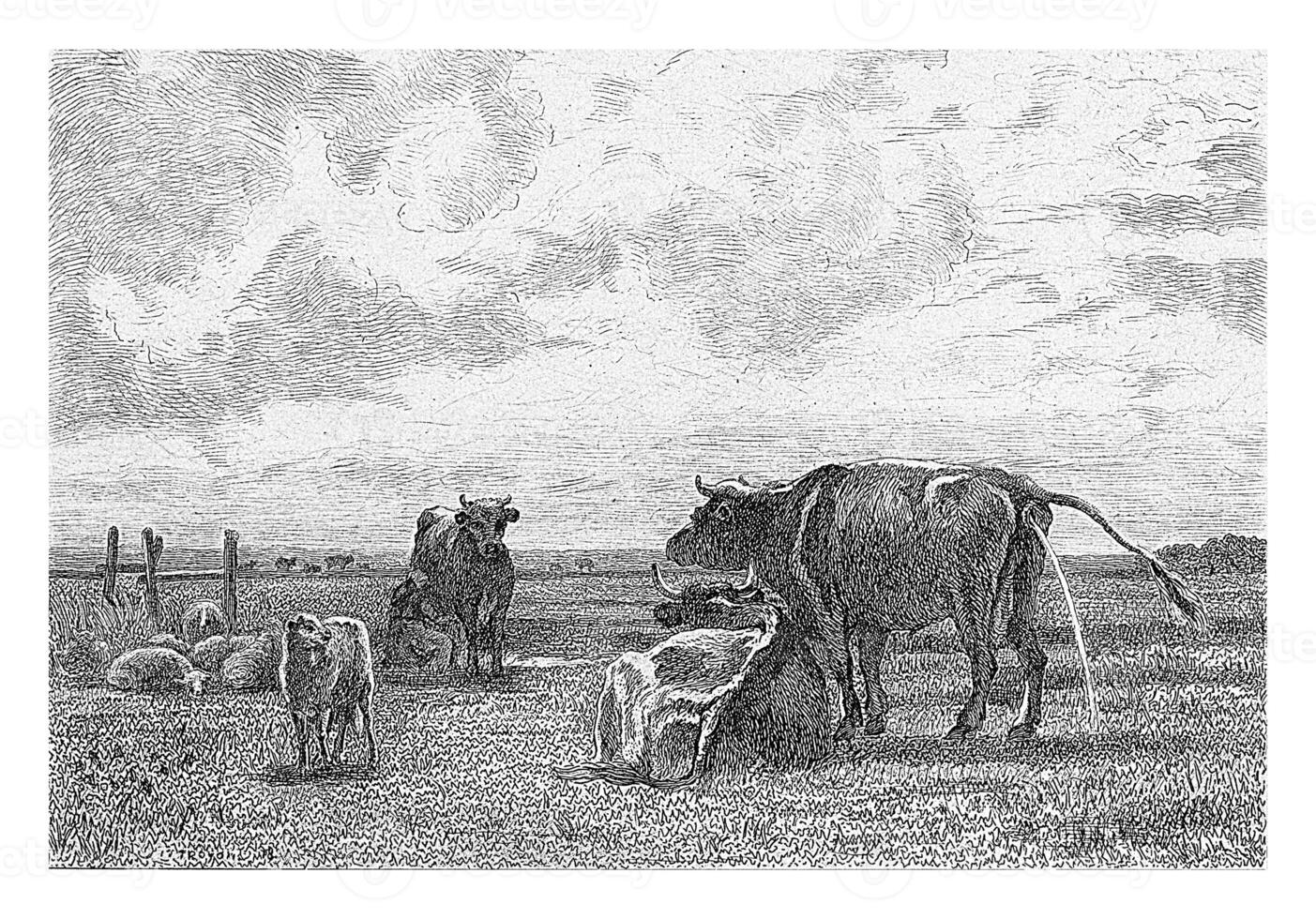 panorama com vacas e ovelha, johann Henrique maria Hubert Rennefeld, depois de constante troyon, 1842 - 1877 foto