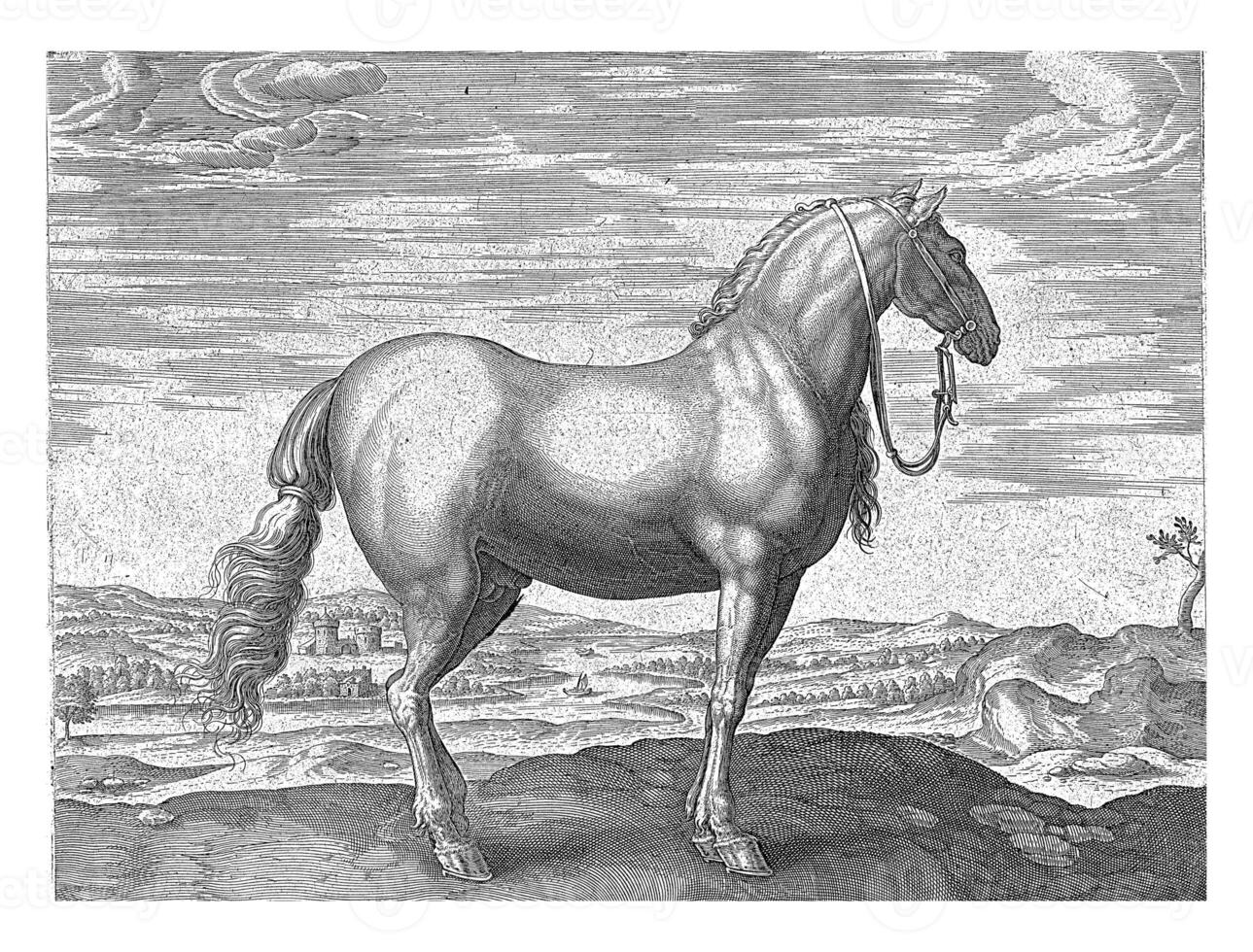 cavalo a partir de norte Itália insípido, hendrick Goltzius possivelmente, depois de jan furgão der rua, c. 1578 - c. 1582 foto