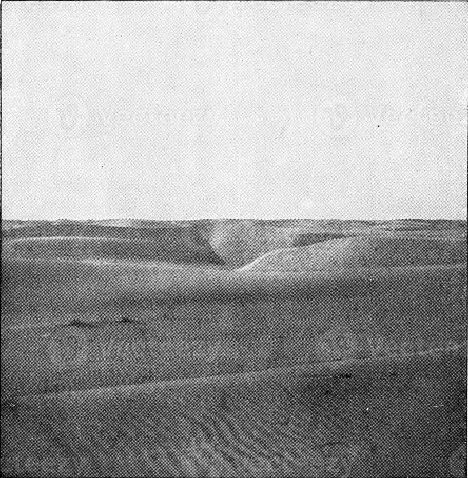 ondulações do deserto areia, vintage gravação. foto