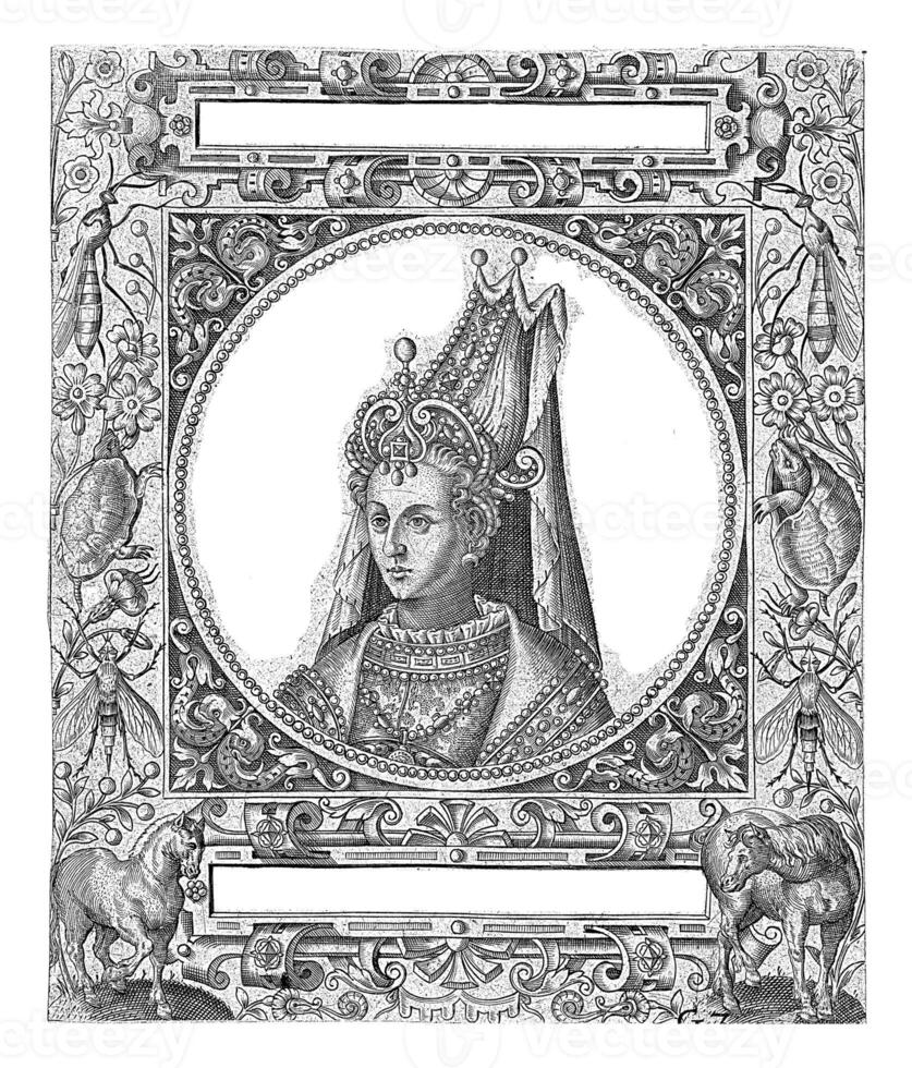 retrato do a sultão rosa, teodor de briy, depois de brim jacques boissard, 1596 foto