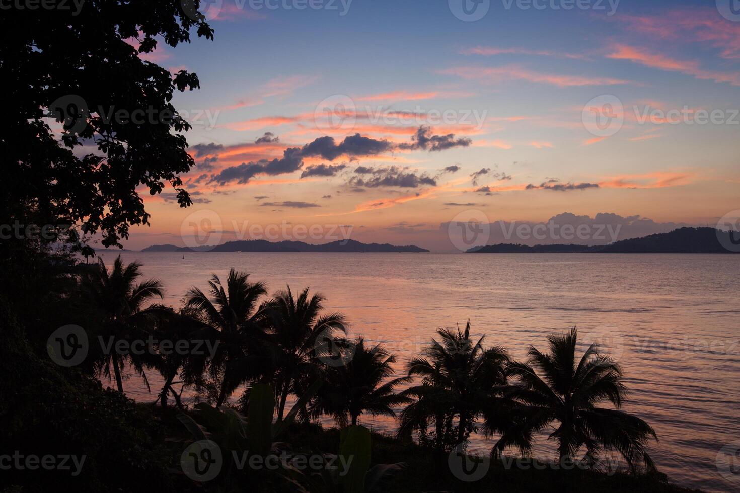 coco árvore com Claro céu atrás de praia dentro tropicana foto