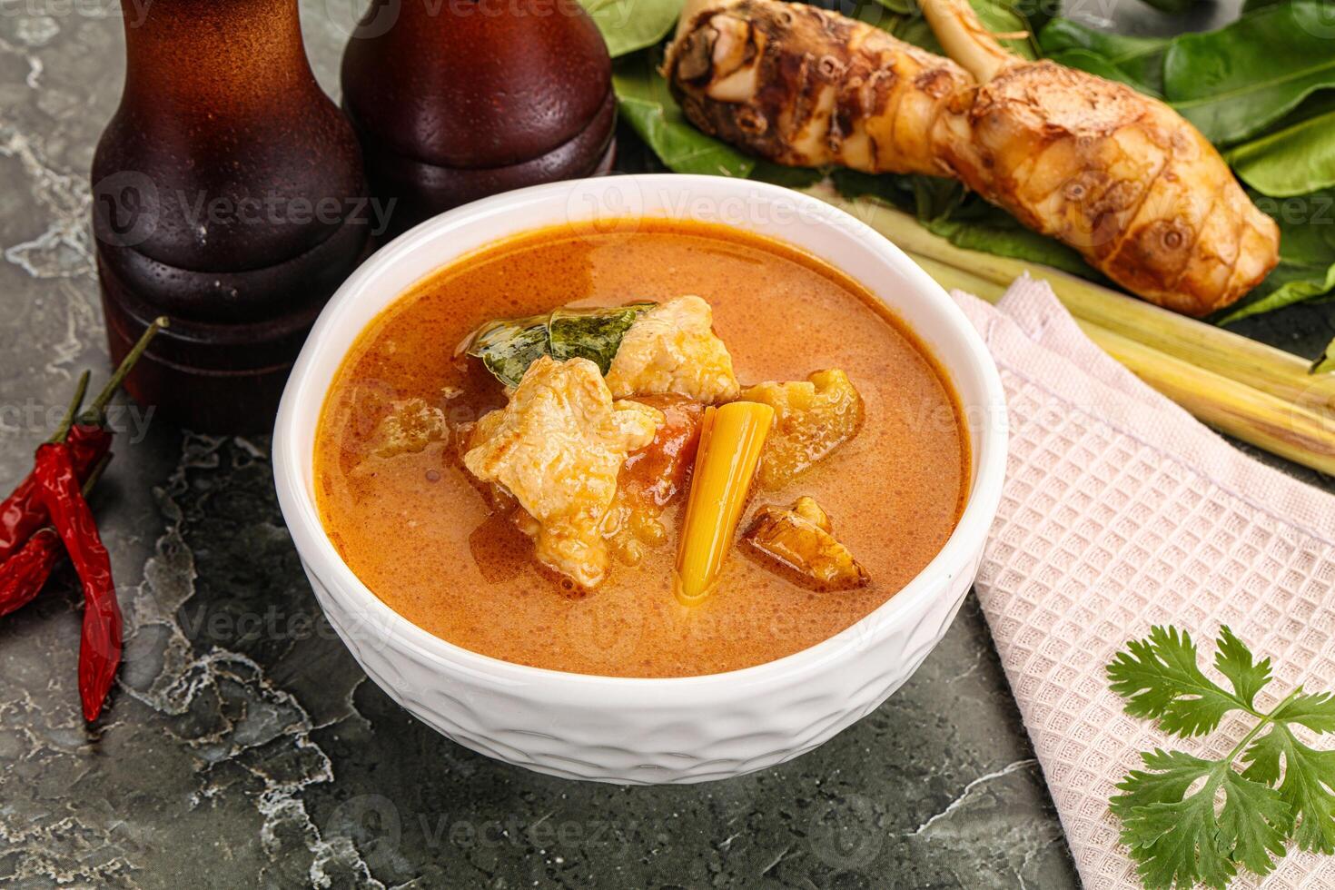 tailandês tradicional tom yum com frango foto